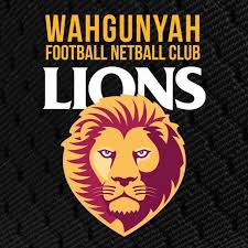 Team logo
