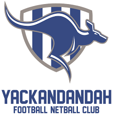 Team logo