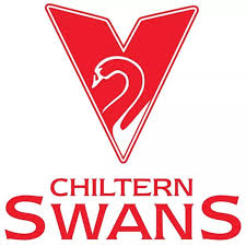 Team logo